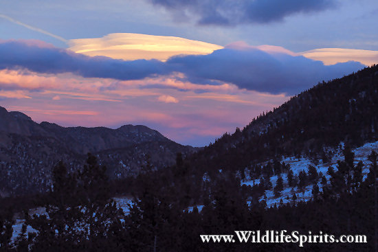 Click Picture to send as an  E-PostCard 64k 550x367